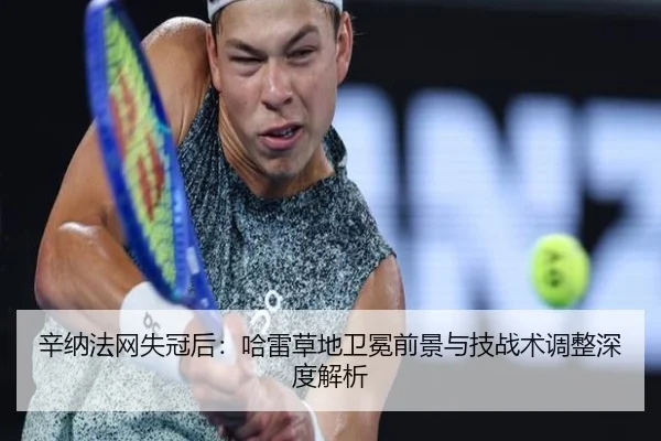 辛纳法网失冠后：哈雷草地卫冕前景与技战术调整深度解析